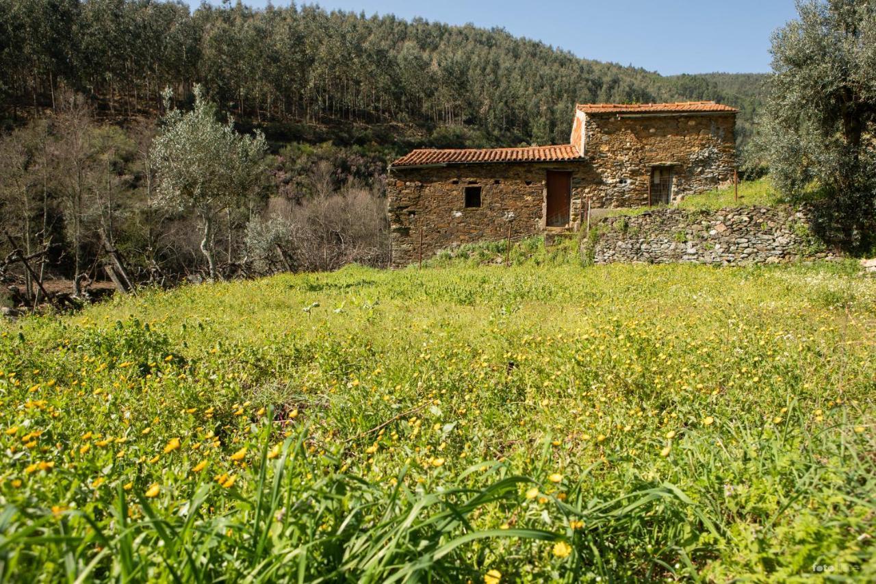 Casinha Da Aldeia Villa คาสเตโลแบรนโค ภายนอก รูปภาพ