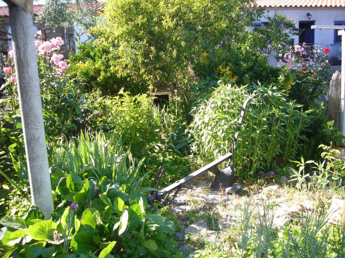 Casinha Da Aldeia Villa คาสเตโลแบรนโค ภายนอก รูปภาพ