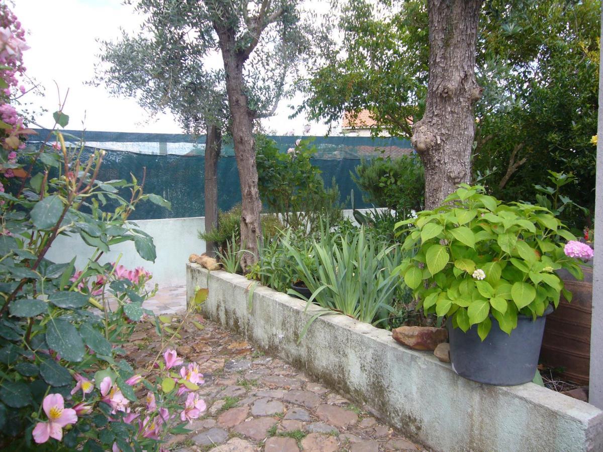 Casinha Da Aldeia Villa คาสเตโลแบรนโค ภายนอก รูปภาพ